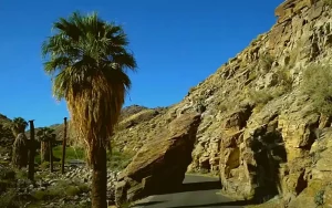 Indian Canyons, Palm Springs, CA