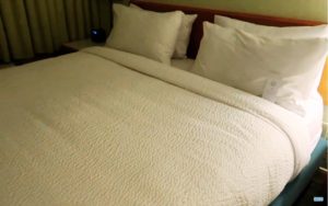 Springhill Suites King Bed, FL