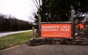 Mammoth Cave is located in Kentucky