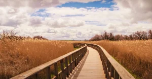 Walk way in gulf shore
