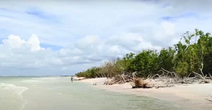 Ferry to Caladesi Island