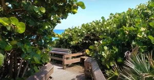 Coconut Point Par 