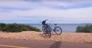 Beautiful cape cod