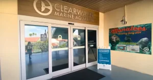Clearwater Marine Aquarium