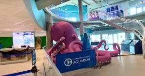 Clearwater Marine Aquarium