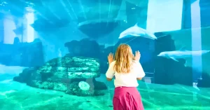 Clearwater Marine Aquarium