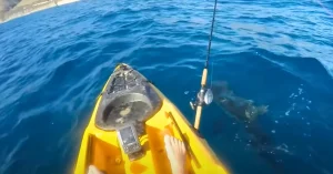 Kayaking 