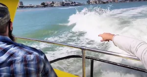  Clearwater Beach Dolphin Cruises