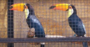 Worth Zoo overall view