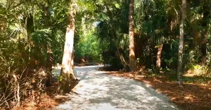 Moccasin Lake Nature Park 