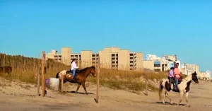 horseback riding on beach