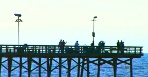 People enjoy from bridge