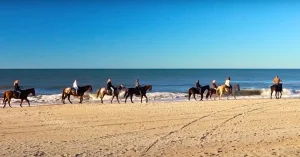  horseback riding on beach