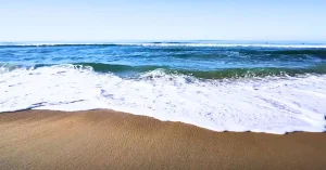  carolina beach