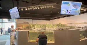 Carolina Aquarium at Fort Fisher