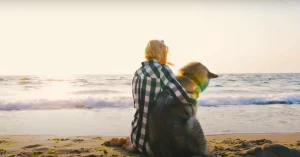 Dog on beach