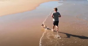 Dog friendly activities 