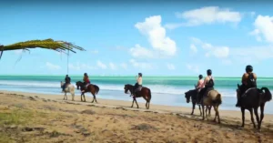 horseback riding.