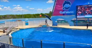 Gulf World Marine Park