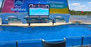 Gulf World Marine Park