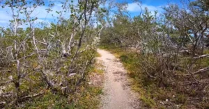 Bahia Honda State Park