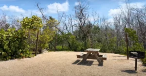 Bahia Honda State Park