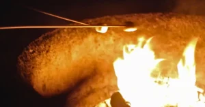 Beach Bonfire