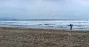  venice beach