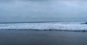  venice beach
