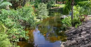 Mounts Botanical Garden