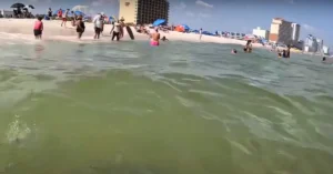  Swimming