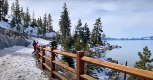 Skiing and Snowboarding