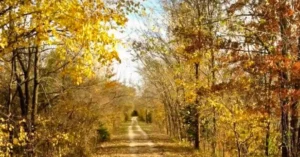 State Parks