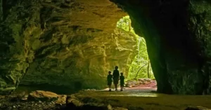 State Parks