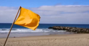 Natural Disaster Safety
