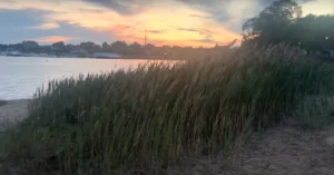 Malibu and Savin Hill beach side area