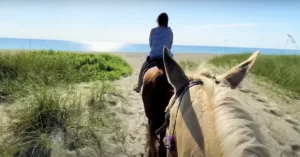 Horseback Riding 
