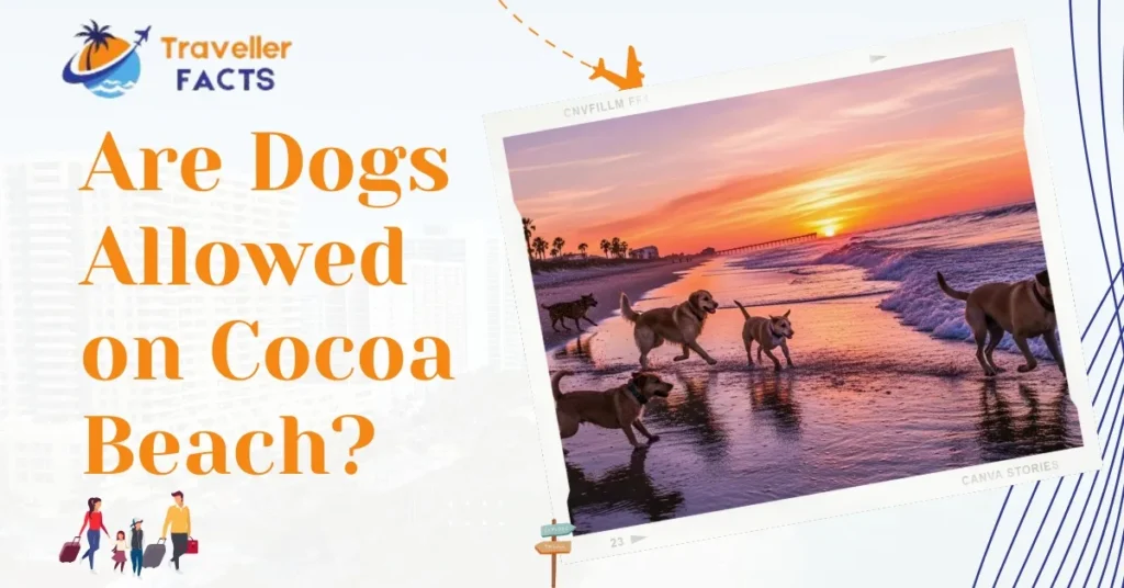 are dogs allowed on cocoa beach