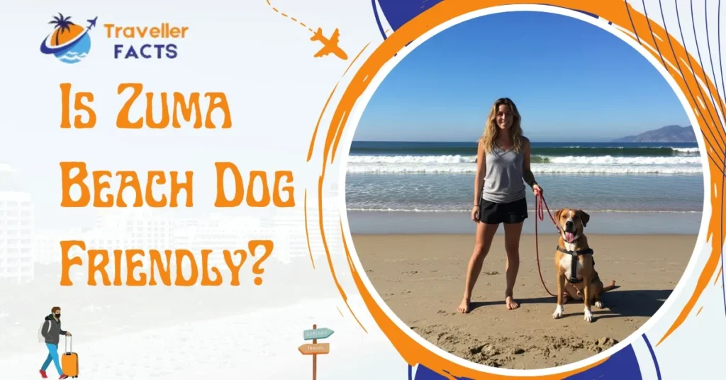 is zuma beach dog friendly