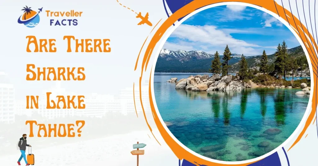 are there sharks in lake tahoe