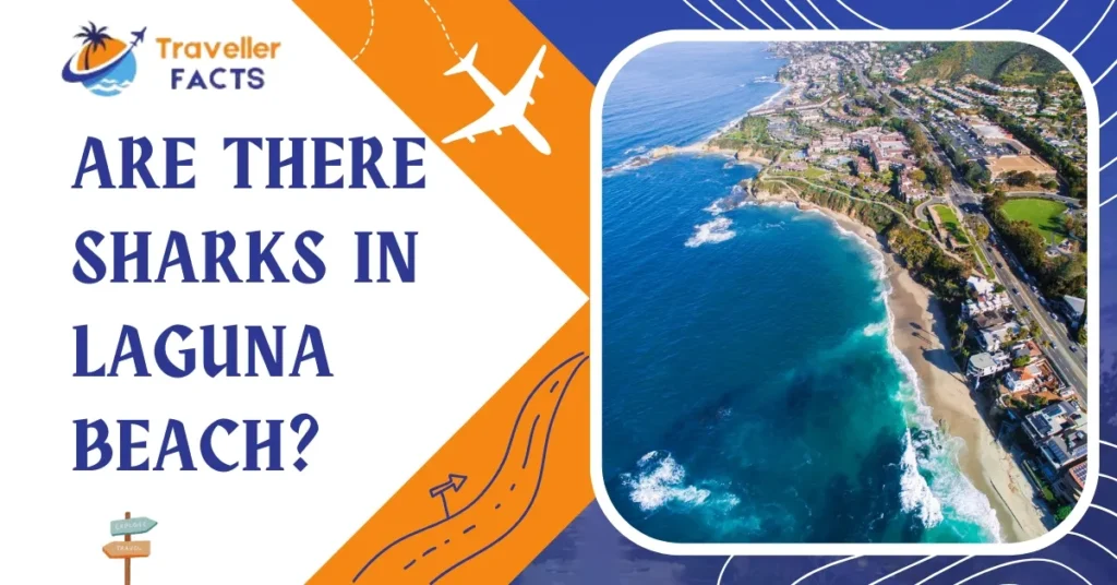are there sharks in laguna beach