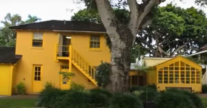 Bonnet House Museum