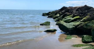 brighton beach