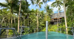 boutique hotels