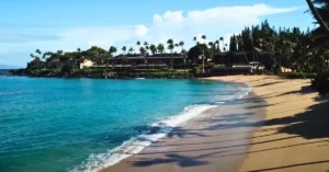 Napili Beach nature