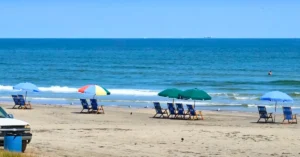 Galveston’s environment