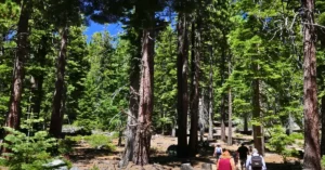 Beauty of lake tahoe