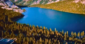 Yosemite National Park.