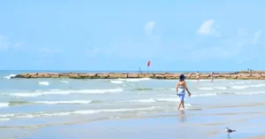 Beach environment