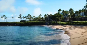 Kapalua Bay natural beauty